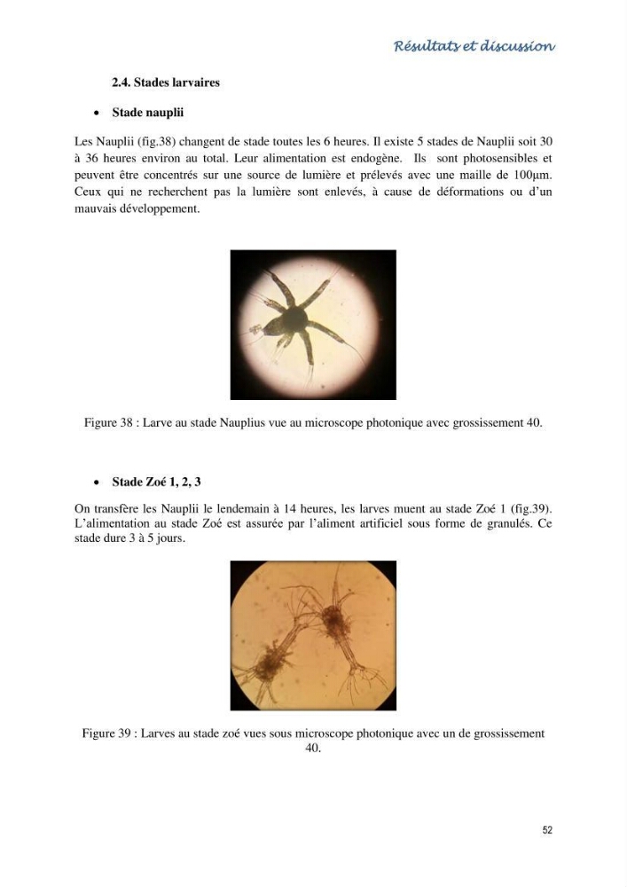 Caracterisation de l\'elevage de la crevette Litopenaeus vannamei ( boone,1931) Ferme Pilote la marsa (Skikda)