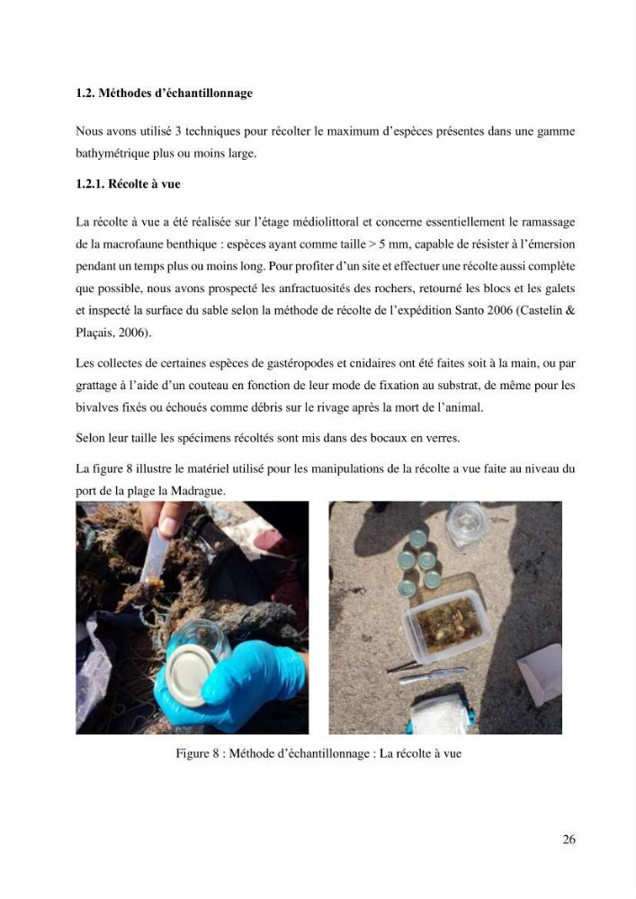 Inventaire et Systématique de quelques Invertébrés et VertébrésMarins de la côte Algérienne