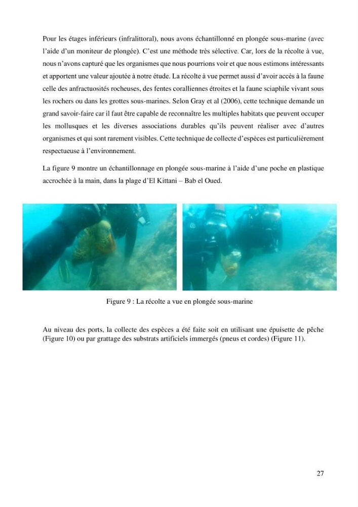 Inventaire et Systématique de quelques Invertébrés et VertébrésMarins de la côte Algérienne