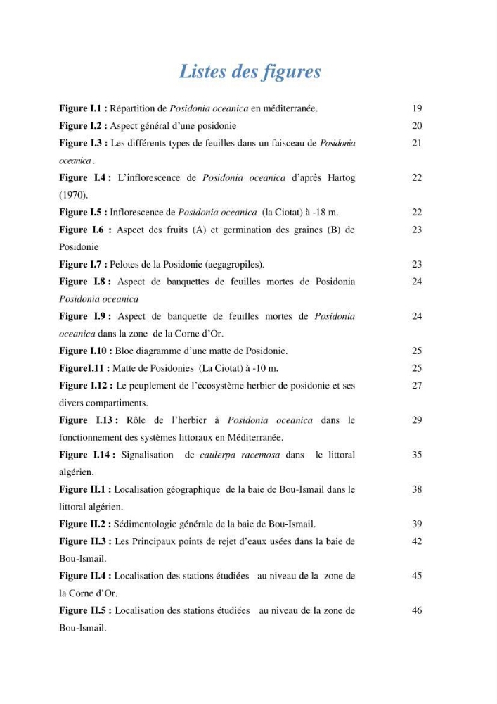 Contribution à l\'étude des paramètres vitaux de l\'herbier à posidonie ( Posidonia oceanica) en relation avec la pollution chimique
