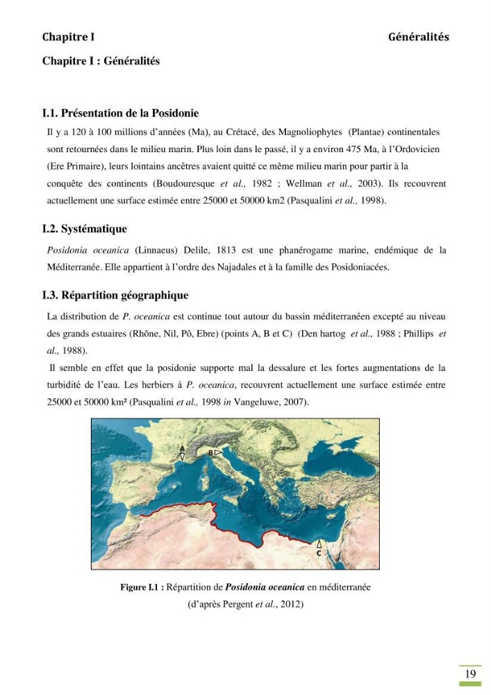 Contribution à l\'étude des paramètres vitaux de l\'herbier à posidonie ( Posidonia oceanica) en relation avec la pollution chimique