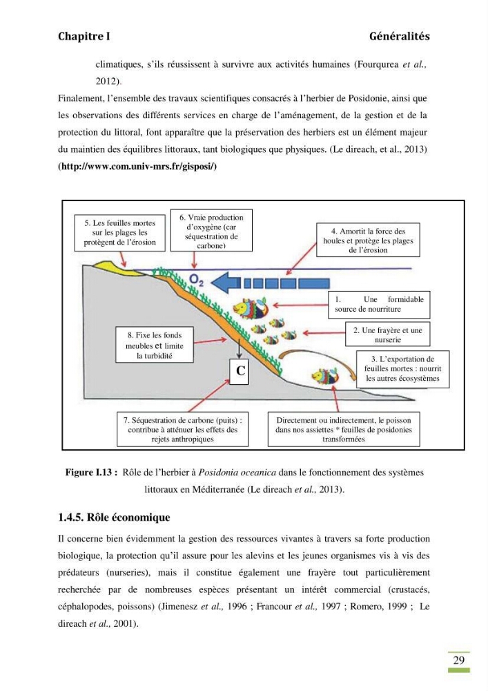 Contribution à l\'étude des paramètres vitaux de l\'herbier à posidonie ( Posidonia oceanica) en relation avec la pollution chimique