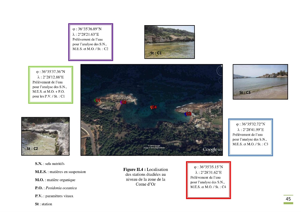Contribution à l\'étude des paramètres vitaux de l\'herbier à posidonie ( Posidonia oceanica) en relation avec la pollution chimique