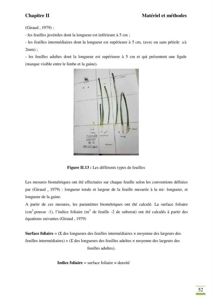 Contribution à l\'étude des paramètres vitaux de l\'herbier à posidonie ( Posidonia oceanica) en relation avec la pollution chimique