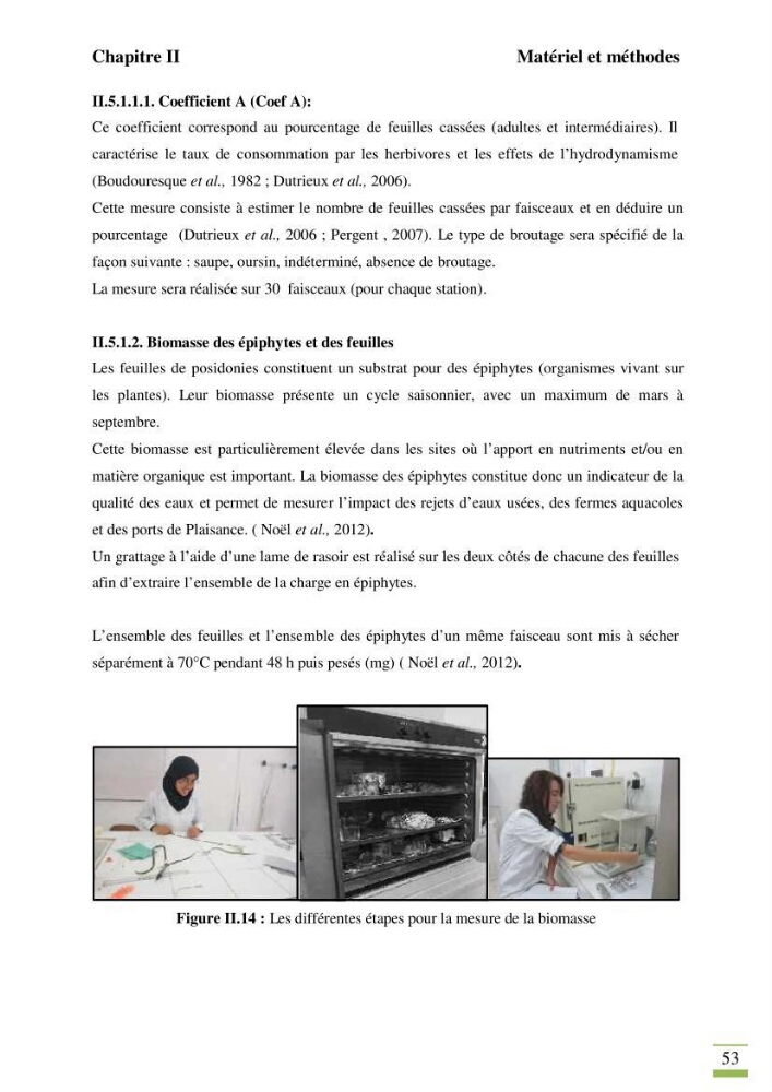 Contribution à l\'étude des paramètres vitaux de l\'herbier à posidonie ( Posidonia oceanica) en relation avec la pollution chimique