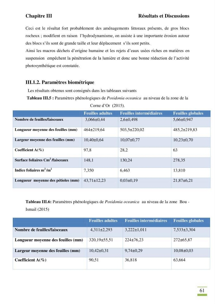 Contribution à l\'étude des paramètres vitaux de l\'herbier à posidonie ( Posidonia oceanica) en relation avec la pollution chimique