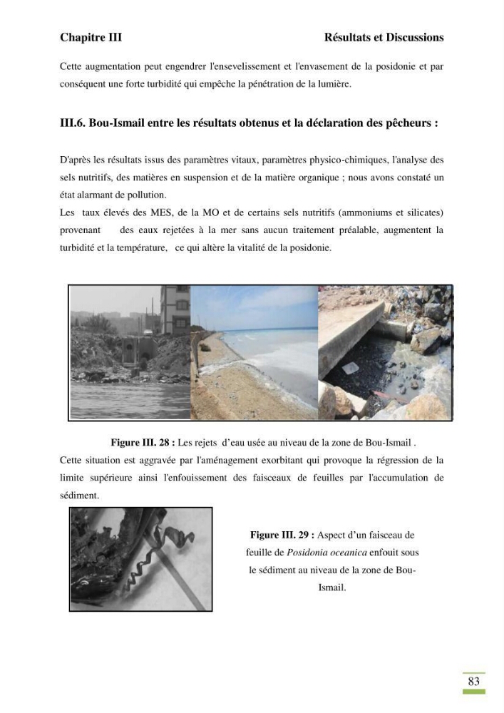 Contribution à l\'étude des paramètres vitaux de l\'herbier à posidonie ( Posidonia oceanica) en relation avec la pollution chimique