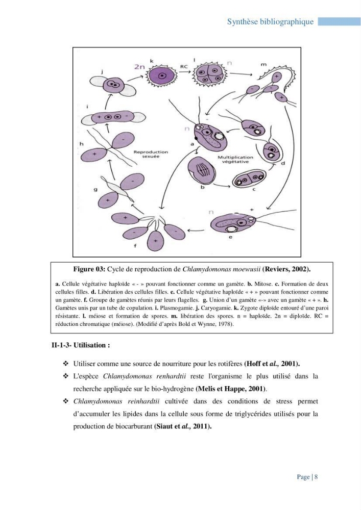 Contribution à la culture des espèces de microalgues d\'eau douce à intérêt aquacole