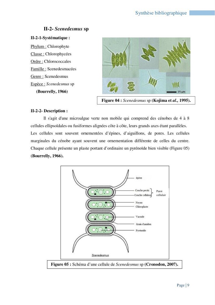 Contribution à la culture des espèces de microalgues d\'eau douce à intérêt aquacole