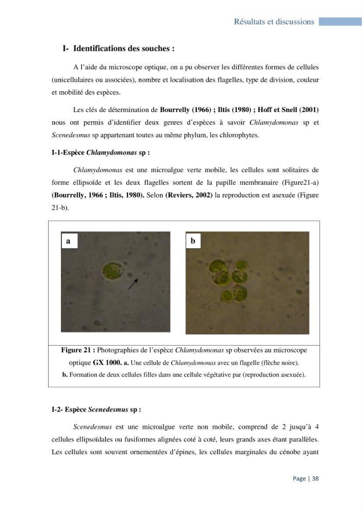 Contribution à la culture des espèces de microalgues d\'eau douce à intérêt aquacole