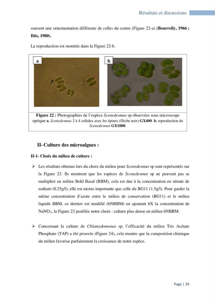 Contribution à la culture des espèces de microalgues d\'eau douce à intérêt aquacole