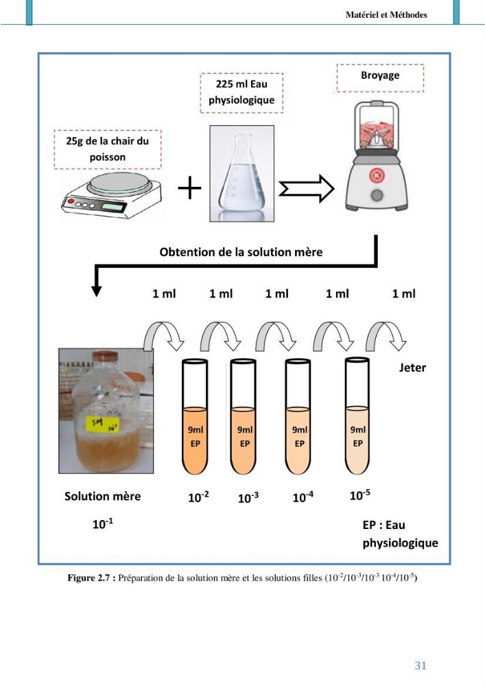 Suivi de l’évaluation de la qualité de fraicheur des poissons d’eau douce et leur valorisation par des procédés traditionnels