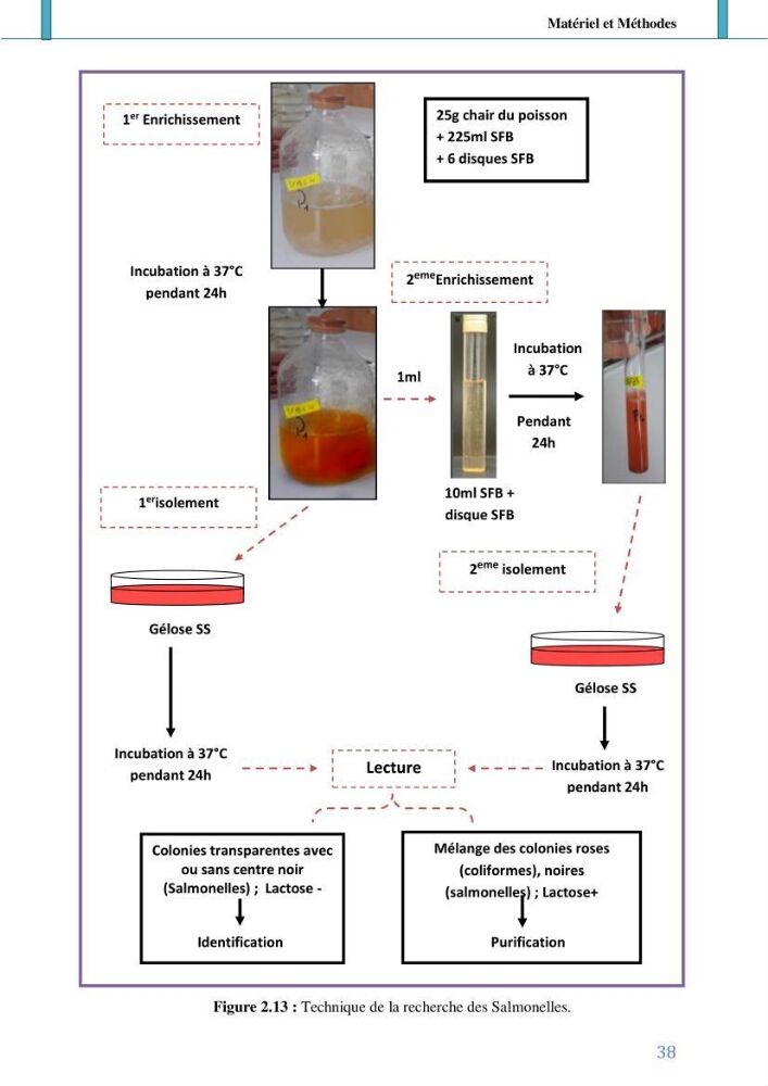 Suivi de l’évaluation de la qualité de fraicheur des poissons d’eau douce et leur valorisation par des procédés traditionnels