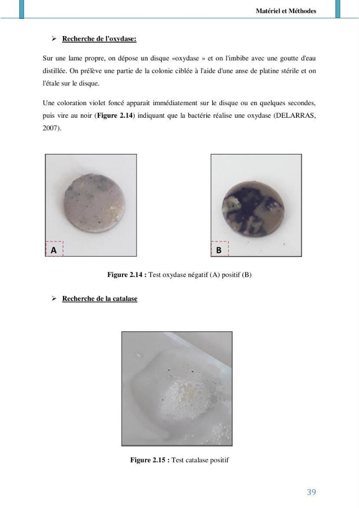 Suivi de l’évaluation de la qualité de fraicheur des poissons d’eau douce et leur valorisation par des procédés traditionnels