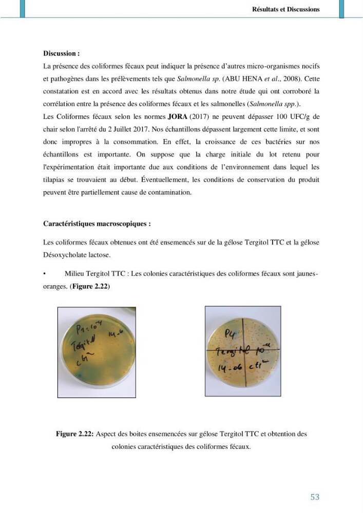 Suivi de l’évaluation de la qualité de fraicheur des poissons d’eau douce et leur valorisation par des procédés traditionnels