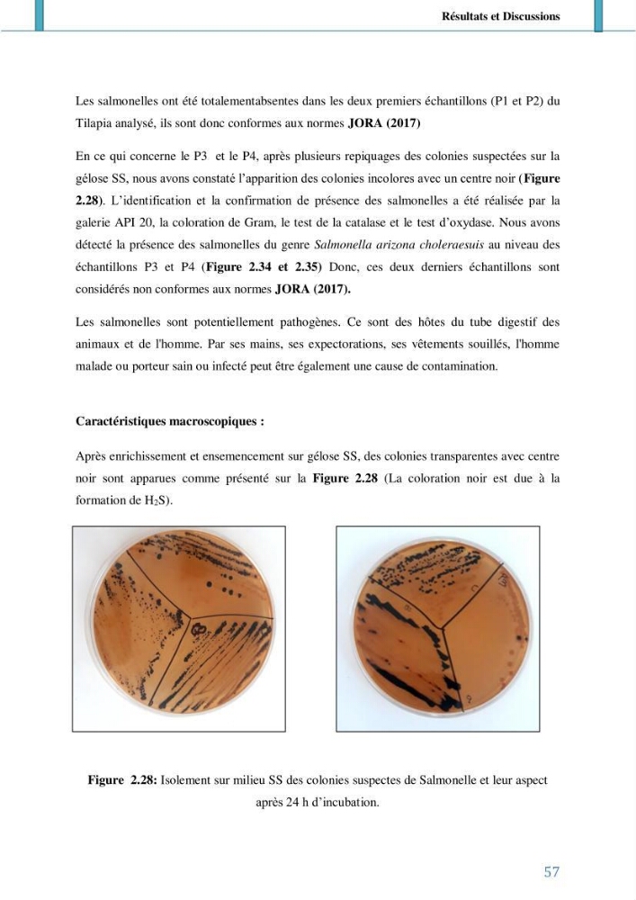 Suivi de l’évaluation de la qualité de fraicheur des poissons d’eau douce et leur valorisation par des procédés traditionnels