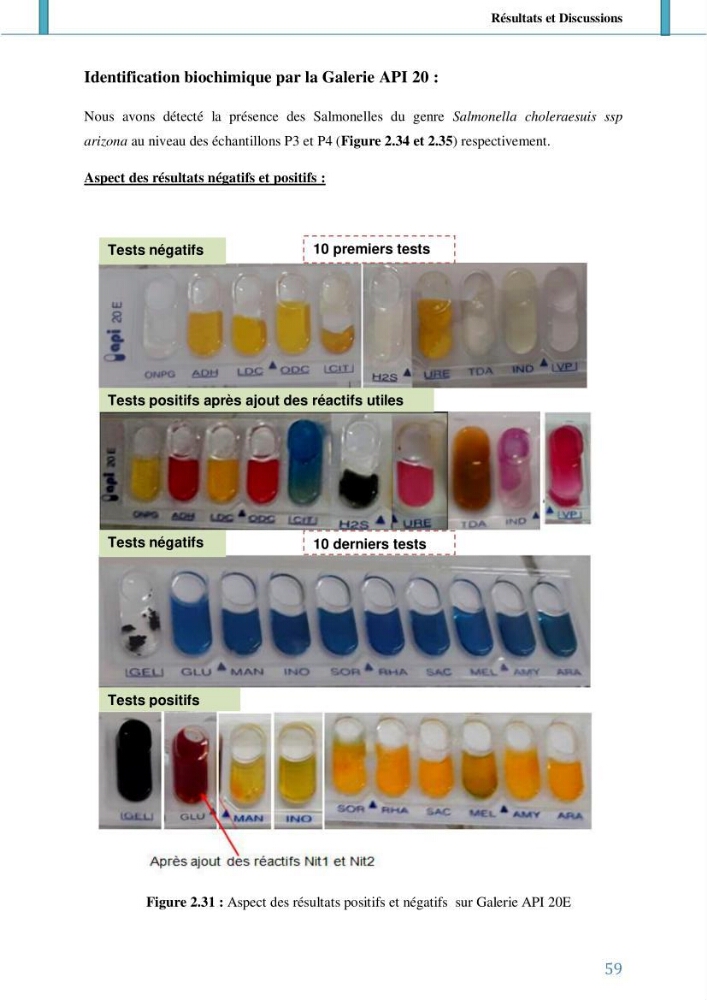 Suivi de l’évaluation de la qualité de fraicheur des poissons d’eau douce et leur valorisation par des procédés traditionnels