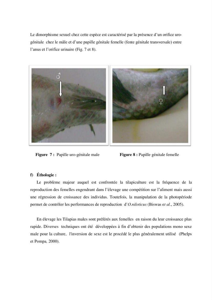 Investigation préliminaire sur la parasitofaune de trois cichlides d\'Algérie