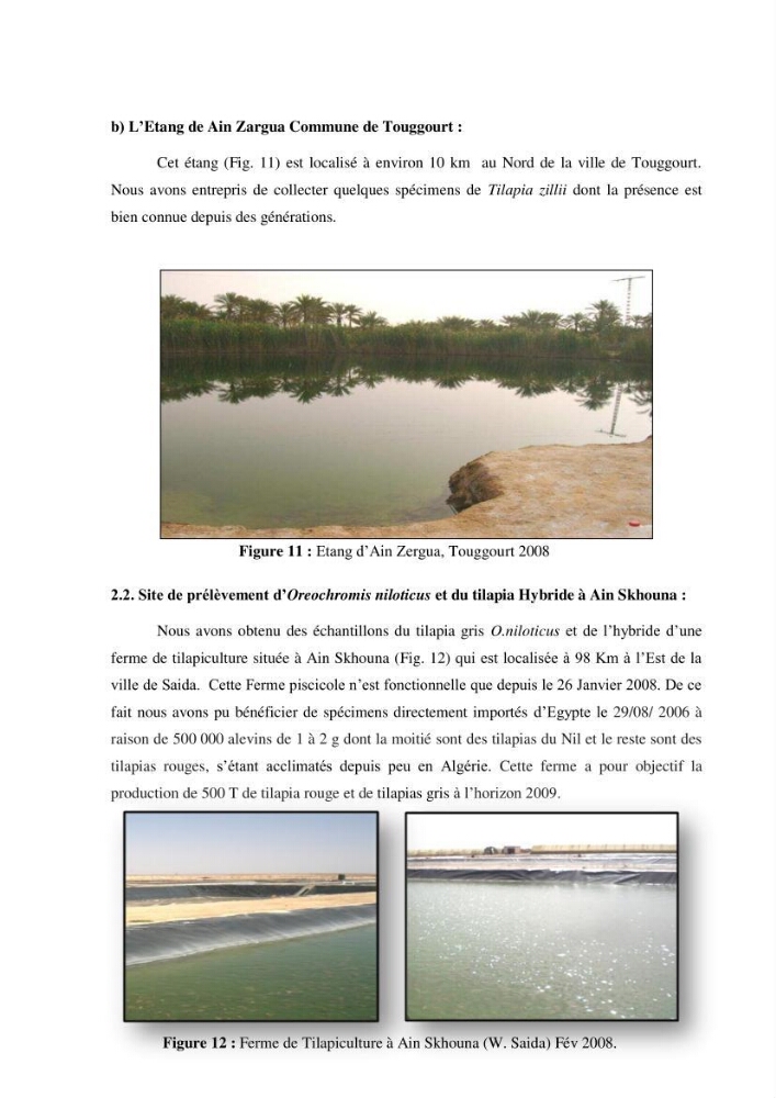 Investigation préliminaire sur la parasitofaune de trois cichlides d\'Algérie