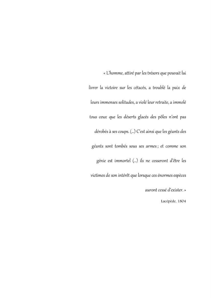 Contribution à l\'étude de la répartition des cétacés le long de la côte Algérienne: bilan des échouages