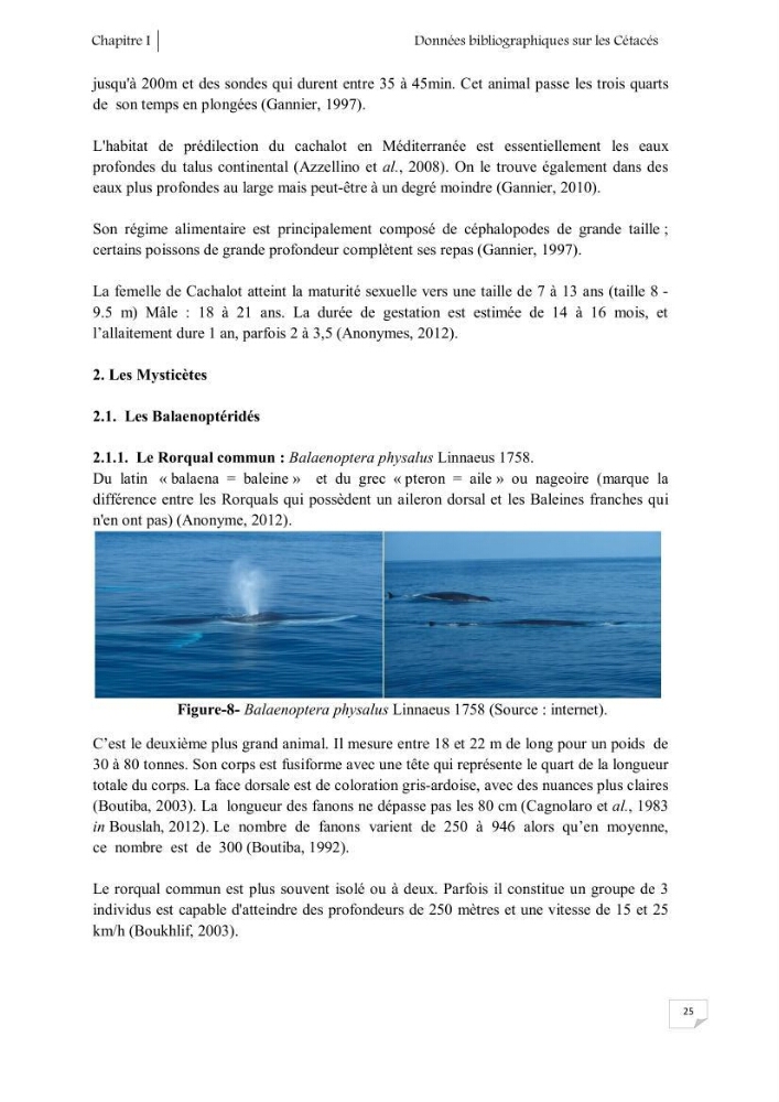 Contribution à l\'étude de la répartition des cétacés le long de la côte Algérienne: bilan des échouages