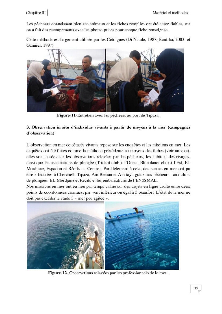 Contribution à l\'étude de la répartition des cétacés le long de la côte Algérienne: bilan des échouages