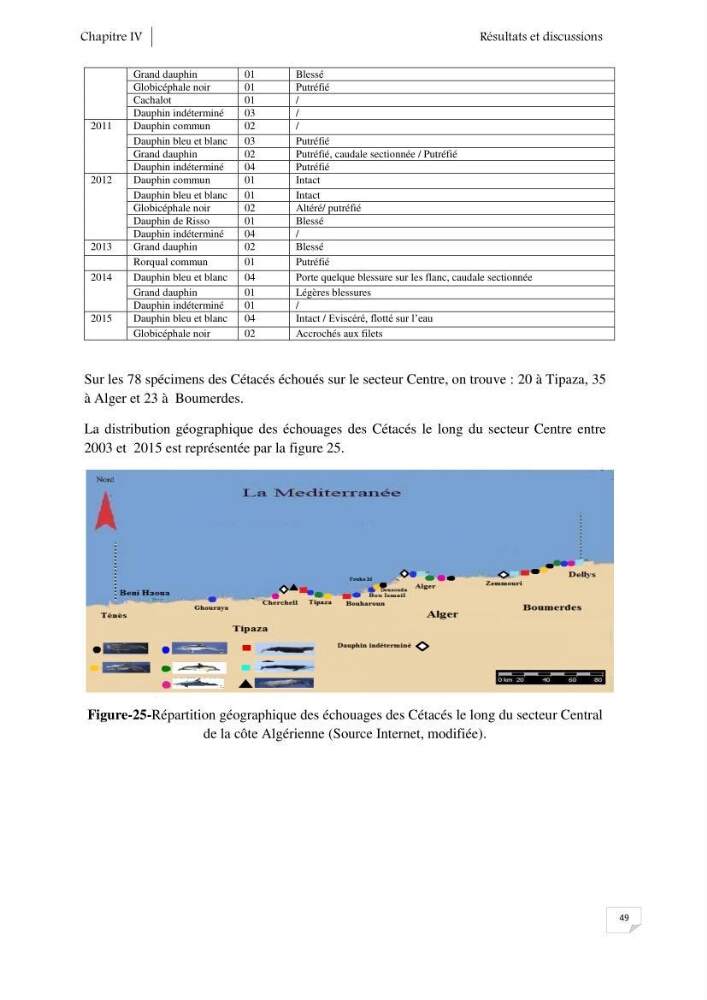 Contribution à l\'étude de la répartition des cétacés le long de la côte Algérienne: bilan des échouages