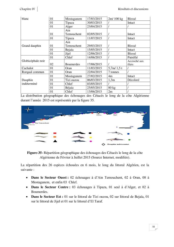 Contribution à l\'étude de la répartition des cétacés le long de la côte Algérienne: bilan des échouages
