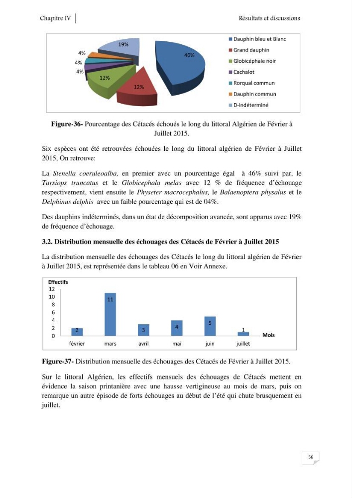 Contribution à l\'étude de la répartition des cétacés le long de la côte Algérienne: bilan des échouages