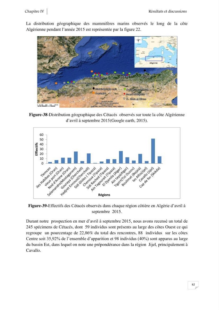 Contribution à l\'étude de la répartition des cétacés le long de la côte Algérienne: bilan des échouages