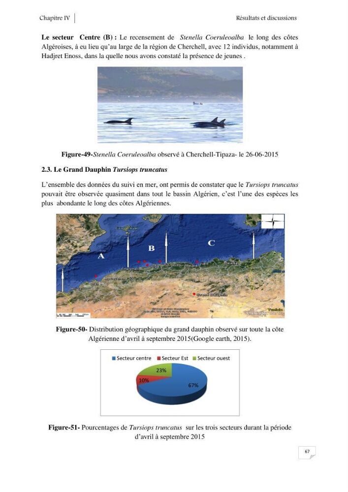 Contribution à l\'étude de la répartition des cétacés le long de la côte Algérienne: bilan des échouages