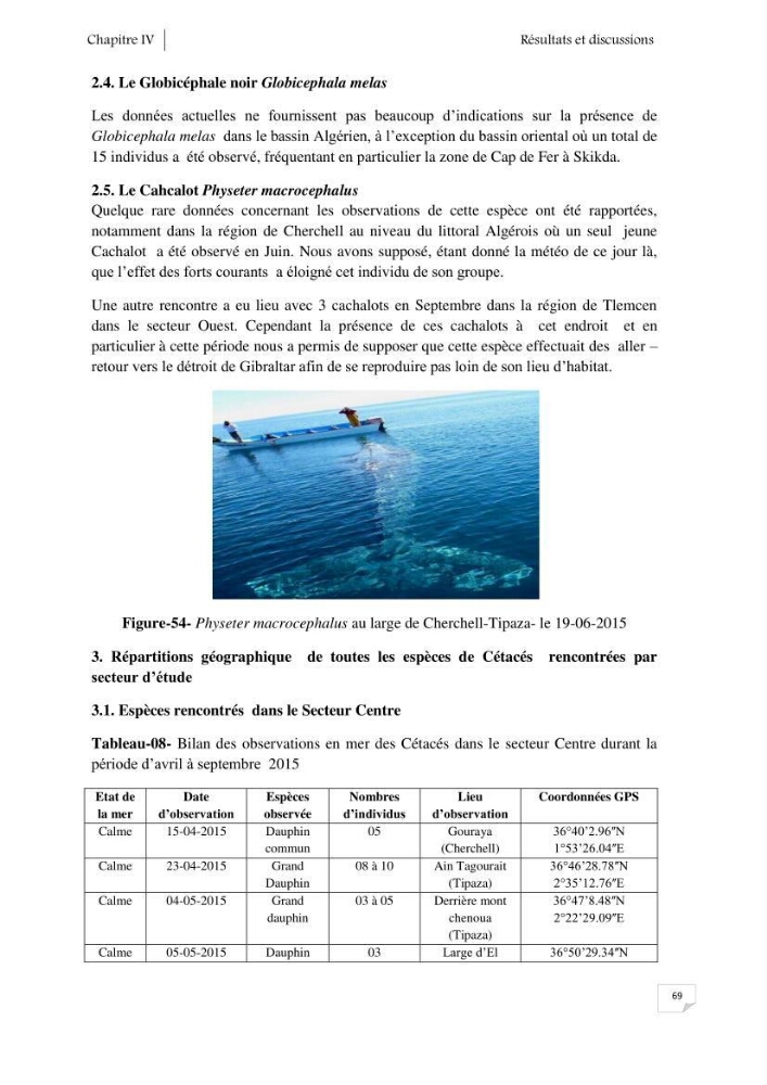 Contribution à l\'étude de la répartition des cétacés le long de la côte Algérienne: bilan des échouages