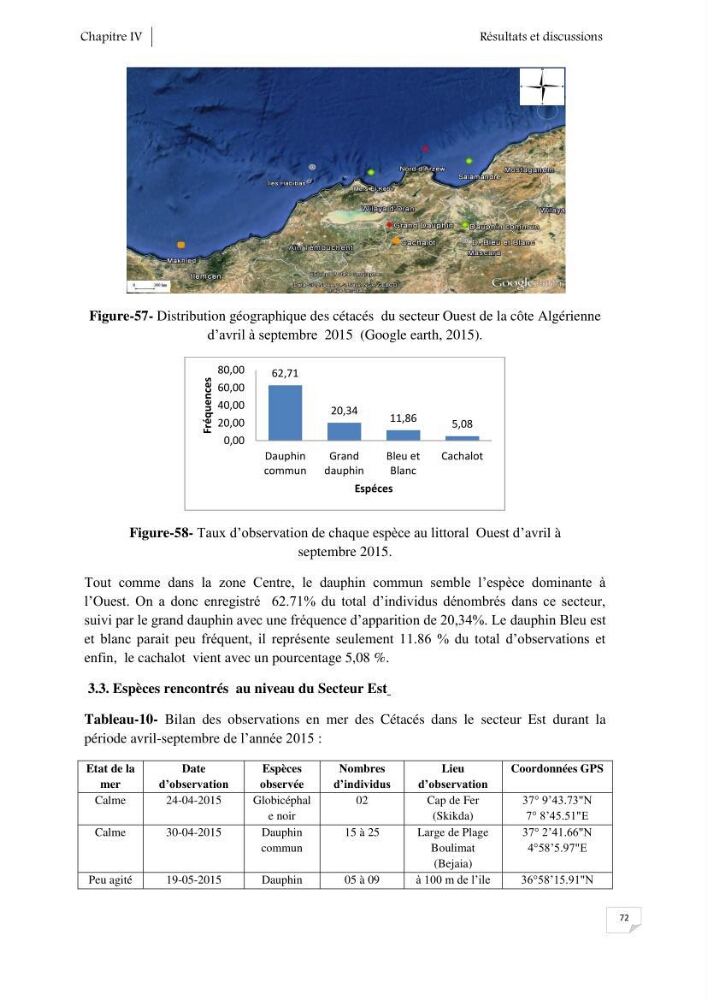 Contribution à l\'étude de la répartition des cétacés le long de la côte Algérienne: bilan des échouages