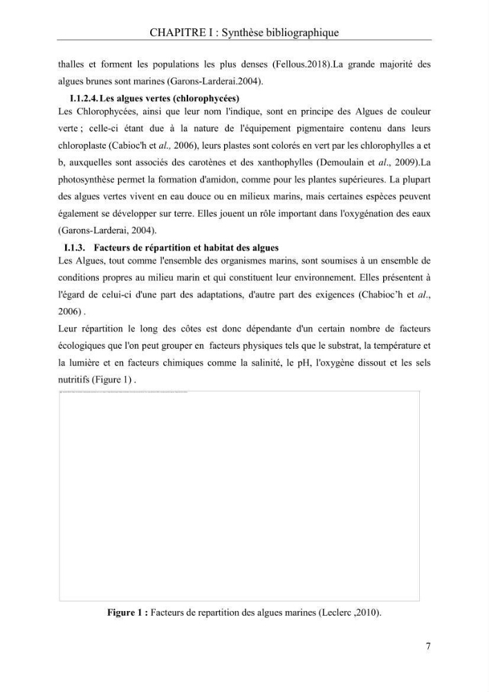Etude de quelques paramètres physico-chimiques et ecotoxicologiques d\'une algue verte du genre Ulva du littoral Algérois