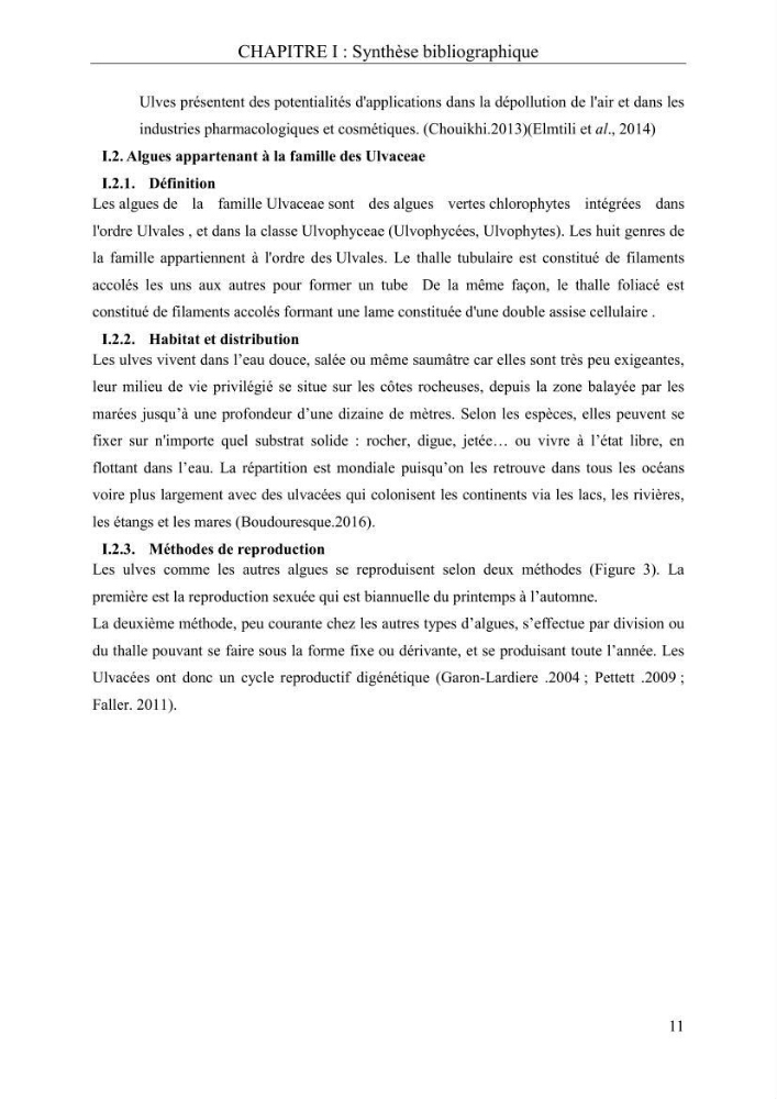Etude de quelques paramètres physico-chimiques et ecotoxicologiques d\'une algue verte du genre Ulva du littoral Algérois