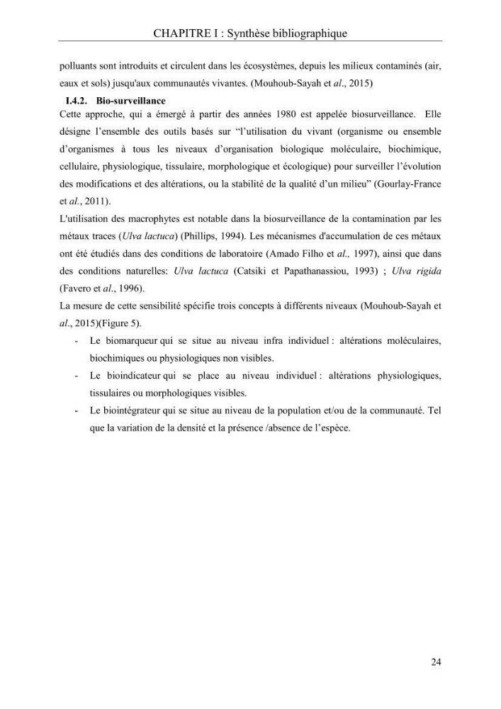 Etude de quelques paramètres physico-chimiques et ecotoxicologiques d\'une algue verte du genre Ulva du littoral Algérois