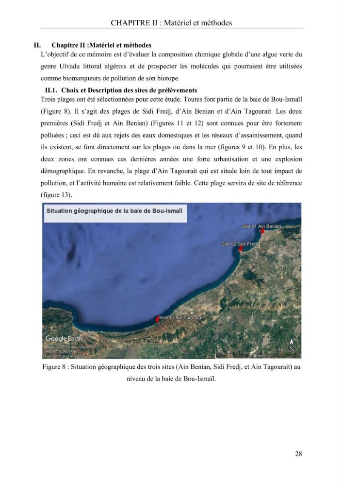 Etude de quelques paramètres physico-chimiques et ecotoxicologiques d\'une algue verte du genre Ulva du littoral Algérois