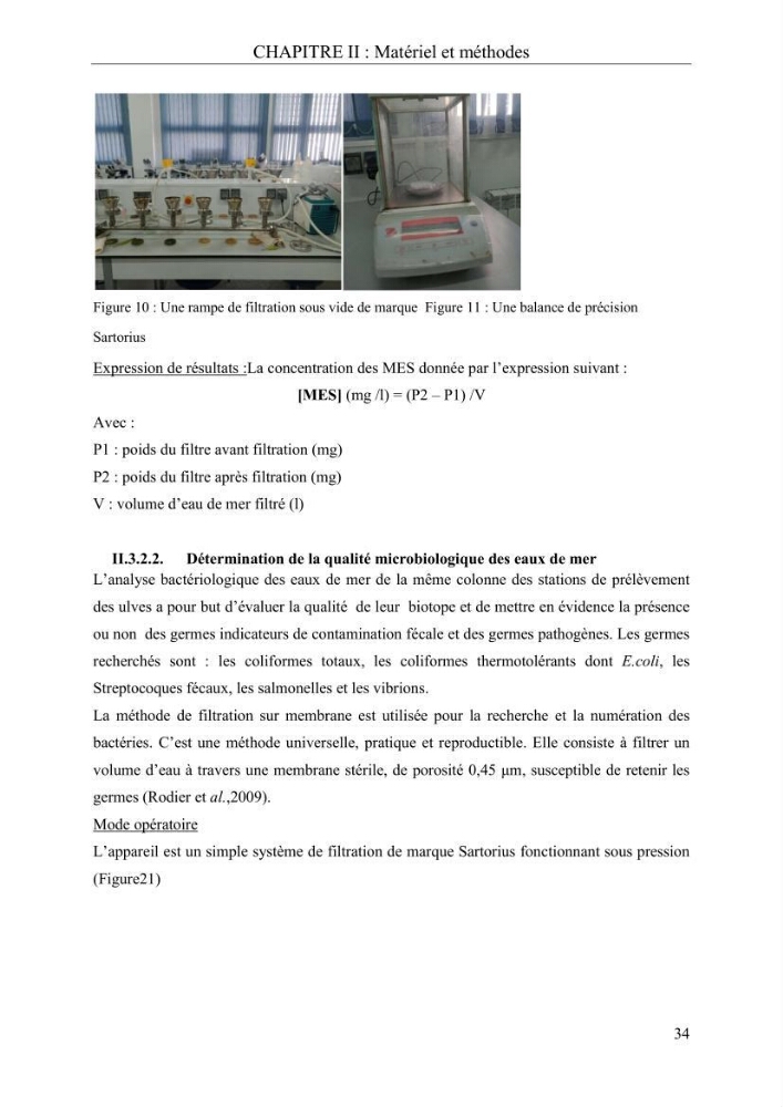 Etude de quelques paramètres physico-chimiques et ecotoxicologiques d\'une algue verte du genre Ulva du littoral Algérois