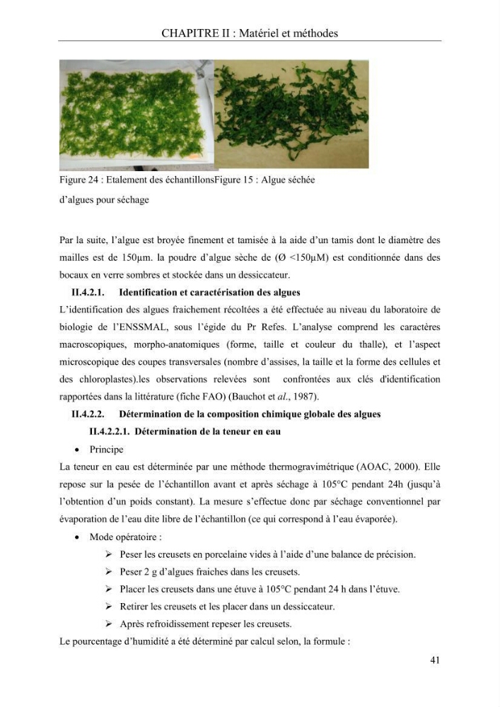 Etude de quelques paramètres physico-chimiques et ecotoxicologiques d\'une algue verte du genre Ulva du littoral Algérois