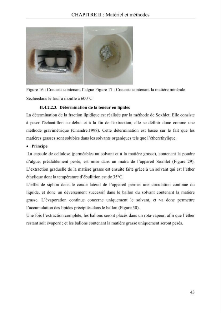 Etude de quelques paramètres physico-chimiques et ecotoxicologiques d\'une algue verte du genre Ulva du littoral Algérois