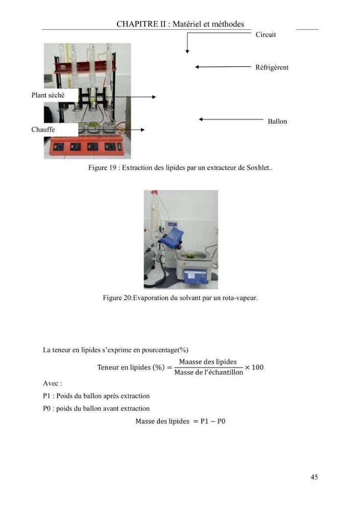 Etude de quelques paramètres physico-chimiques et ecotoxicologiques d\'une algue verte du genre Ulva du littoral Algérois