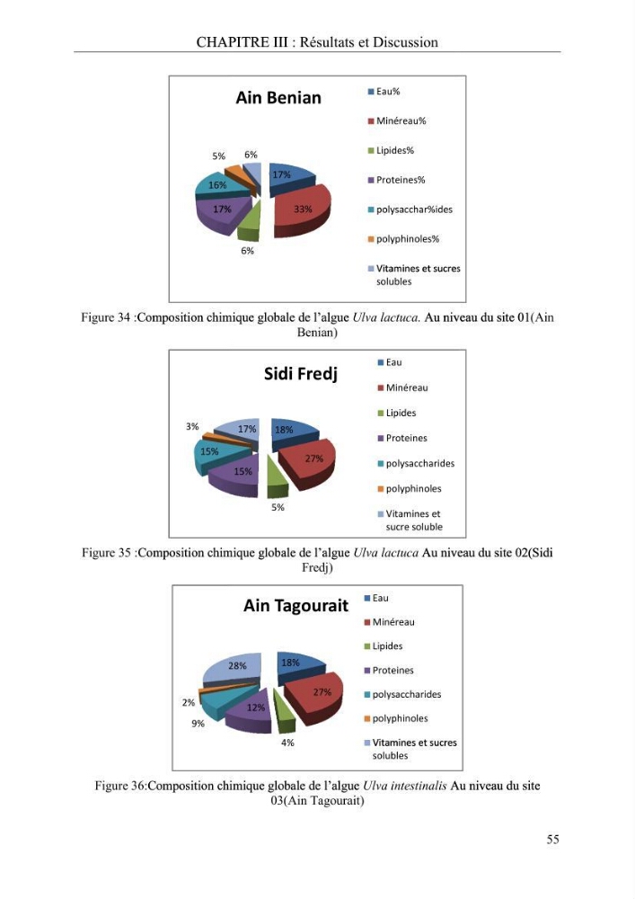 Etude de quelques paramètres physico-chimiques et ecotoxicologiques d\'une algue verte du genre Ulva du littoral Algérois