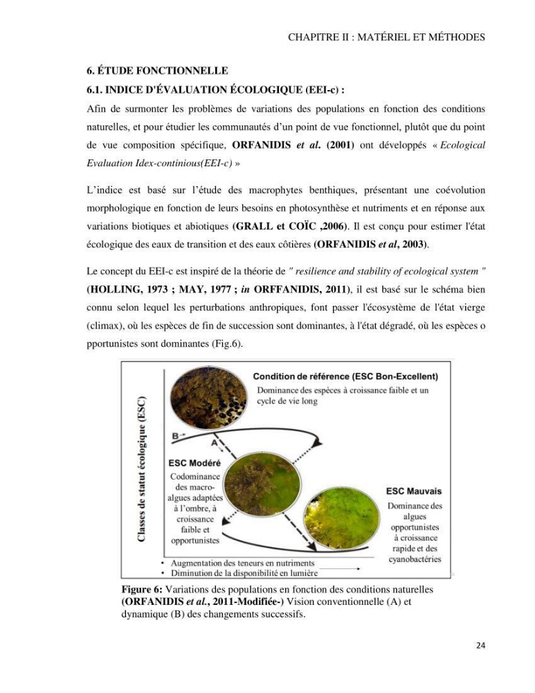 Bioévaluation de la qualité des eaux marines côtières par l\'utilisation des macroalgues dynamique spatiale