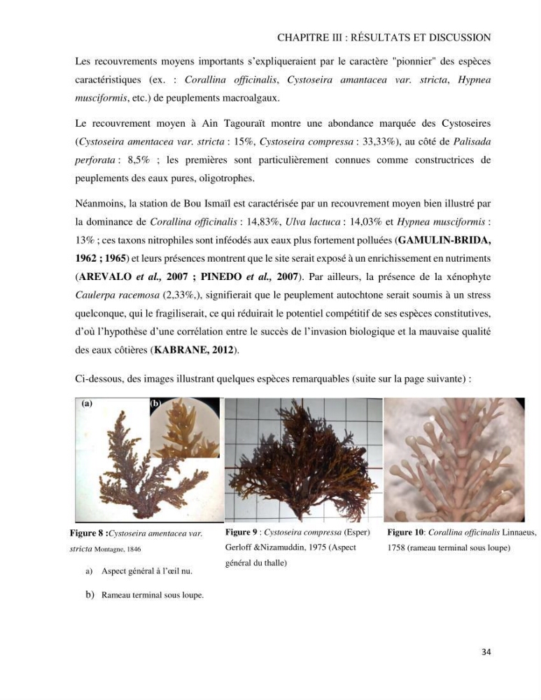 Bioévaluation de la qualité des eaux marines côtières par l\'utilisation des macroalgues dynamique spatiale