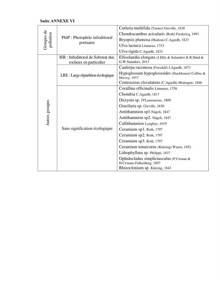 Bioévaluation de la qualité des eaux marines côtières par l\'utilisation des macroalgues dynamique spatiale