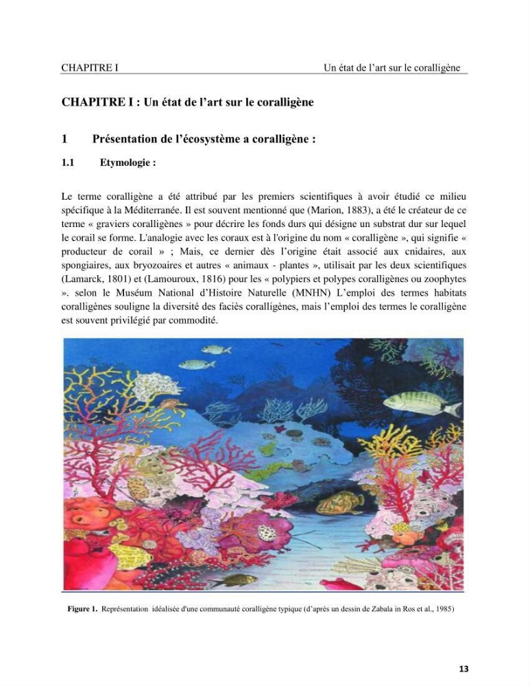Contribution à la connaissance de la faune et de la flore associée à l\'écosystème coralligène de la côte Algérienne