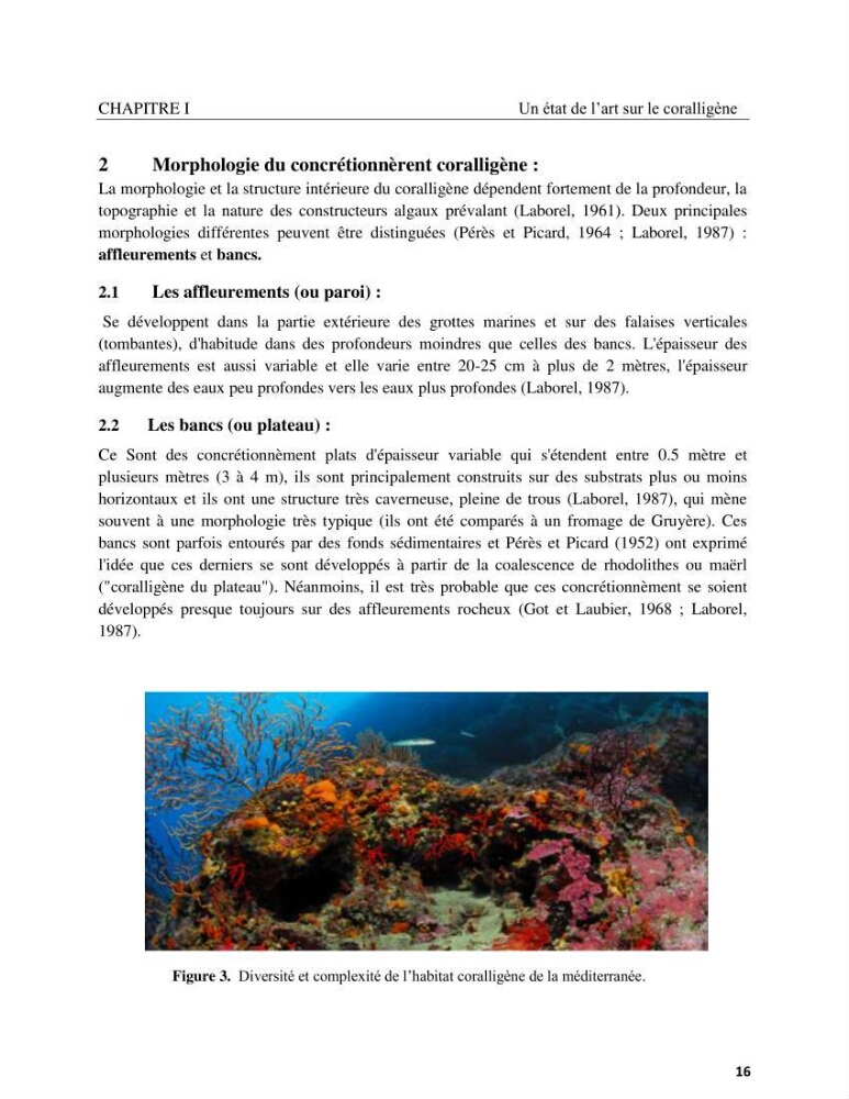 Contribution à la connaissance de la faune et de la flore associée à l\'écosystème coralligène de la côte Algérienne