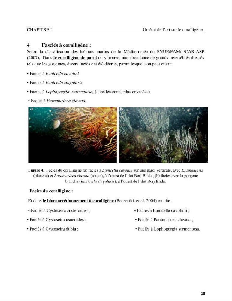 Contribution à la connaissance de la faune et de la flore associée à l\'écosystème coralligène de la côte Algérienne