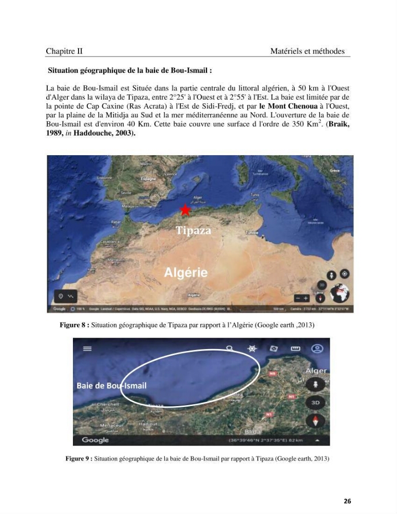 Contribution à la connaissance de la faune et de la flore associée à l\'écosystème coralligène de la côte Algérienne