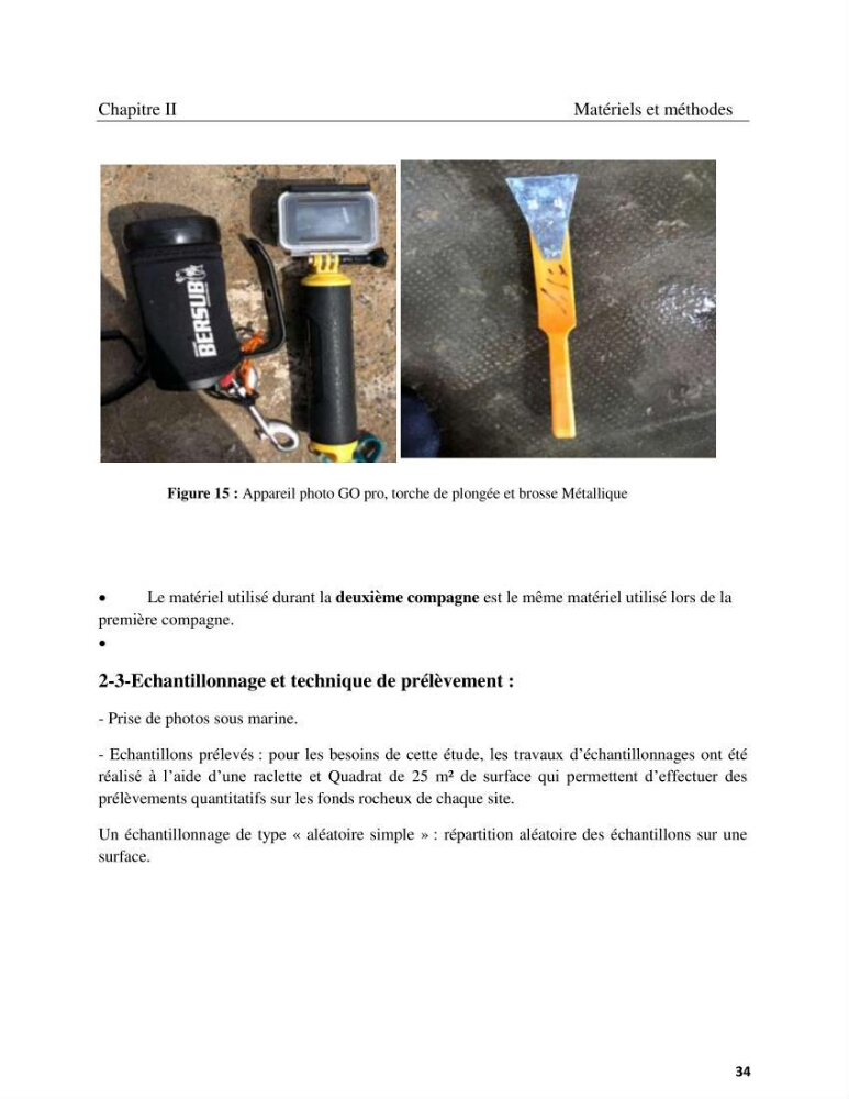 Contribution à la connaissance de la faune et de la flore associée à l\'écosystème coralligène de la côte Algérienne